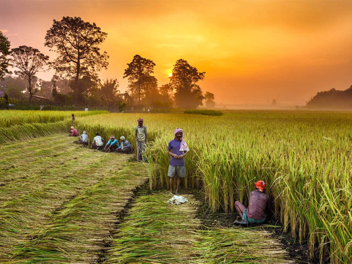 list-of-top-10-best-agriculture-universities-in-pakistan-2018